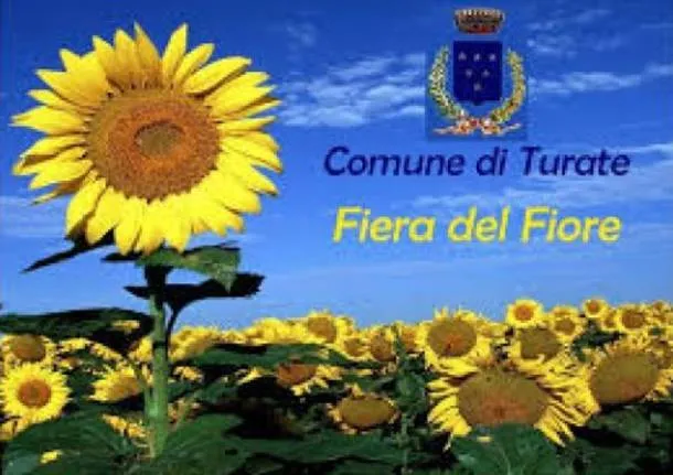 Fiera del Fiore di Turate: l'appuntamento con la primavera il primo maggio 2026 Fiera del Fiore di Turate: l'appuntamento con la primavera il primo maggio 2026