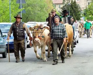 Varzi in Fiera: tradizione e commercio nel cuore dell'Oltrepo Pavese