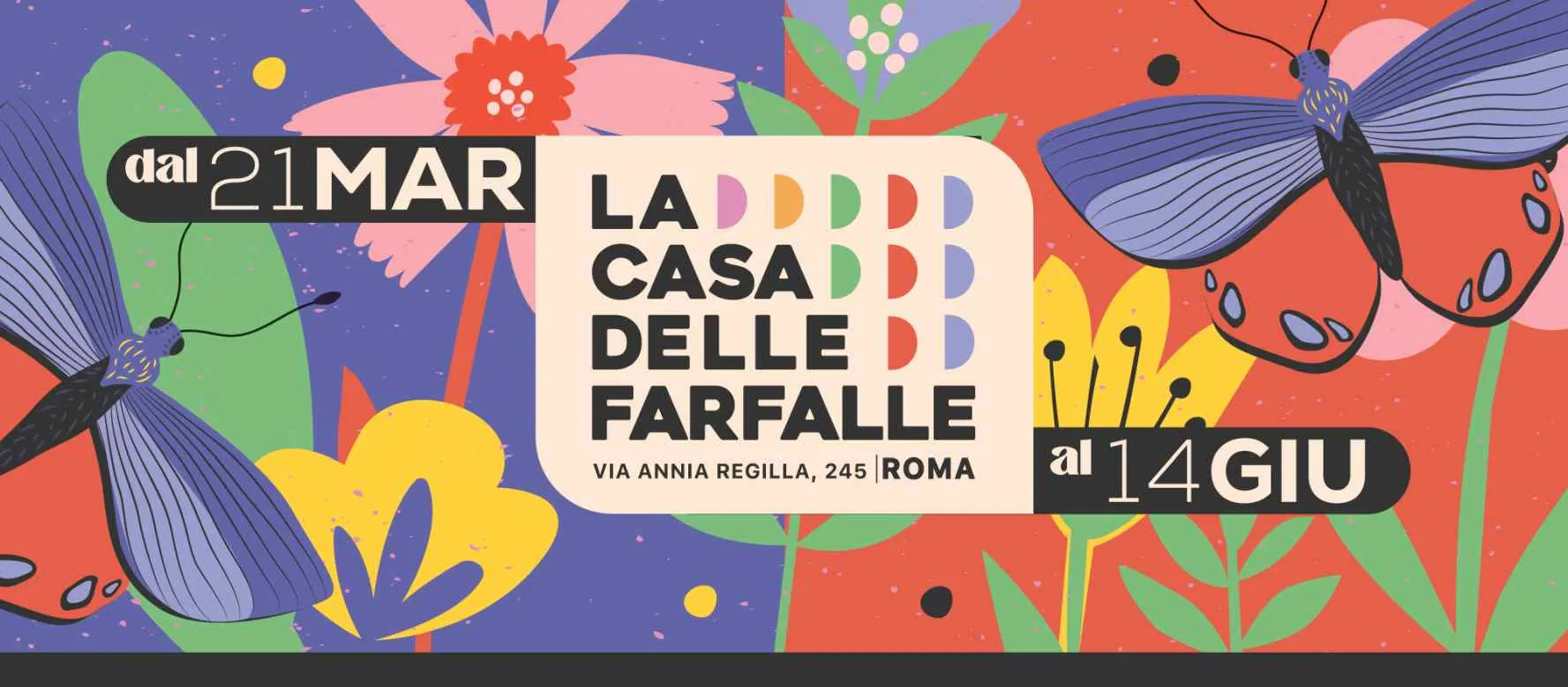 La Casa delle Farfalle a Roma: un viaggio immersivo nella biodiversità La Casa delle Farfalle a Roma: un viaggio immersivo nella biodiversità