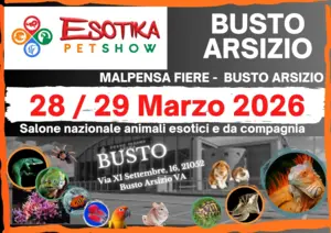 Esotika Pet Show 2026: L'eccellenza degli animali esotici a Busto Arsizio